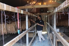 Create Listing: Smoke & Soil: A Journey Through Tobacco Traditions